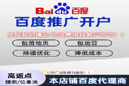 实战派经验分享：百度竞价代理成功案例揭秘